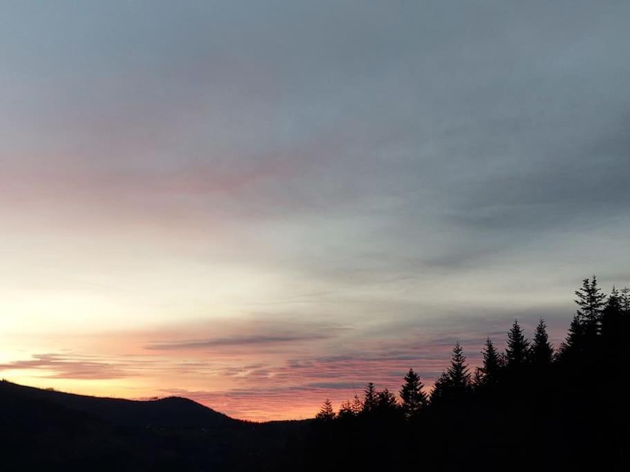 Panorama Sucha Gora ,lesny *