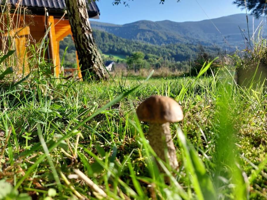 Ferienhaus Panorama Sucha Gora ,lesny