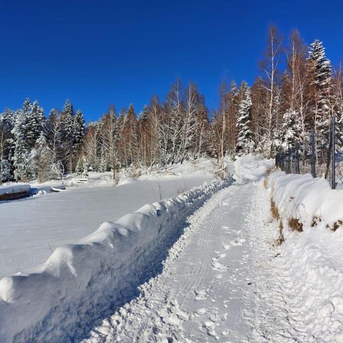 Ferienhaus Panorama Sucha Gora ,lesny *