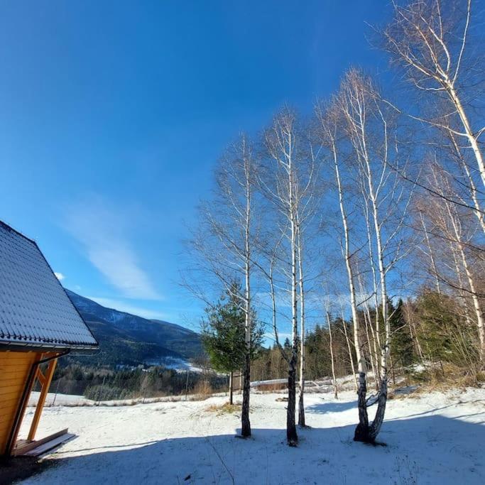 Panorama Sucha Gora ,lesny